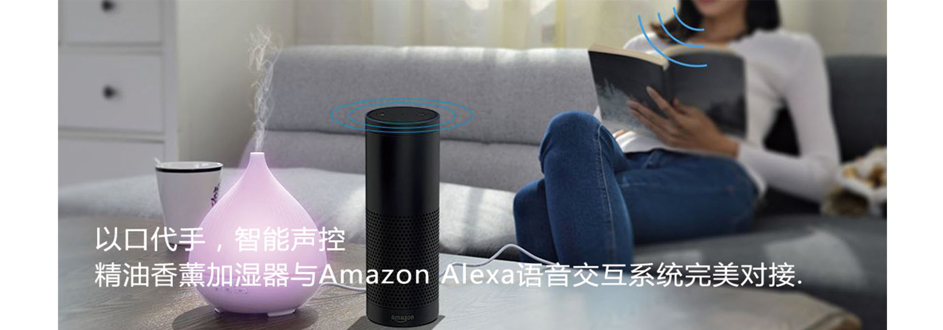 work with alexa